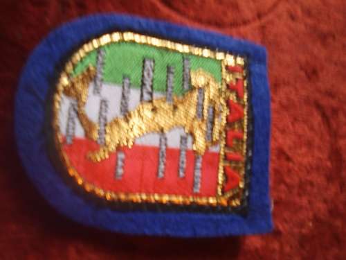 vintage badge 5