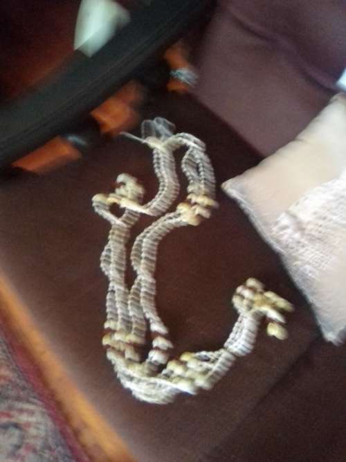 SHELL STRING 2