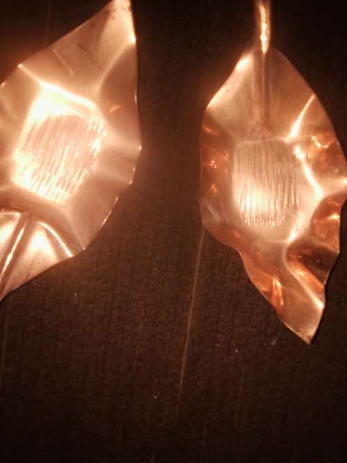 2 royal sable rhodesian copper leaves
