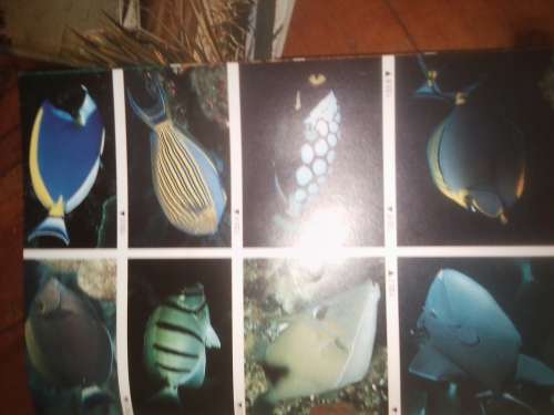 BOOK 2 OCEANS