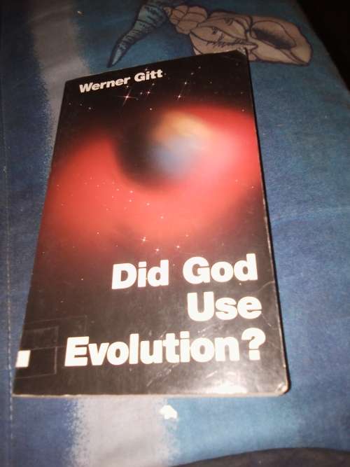 DID GOD USE EVOLUTION