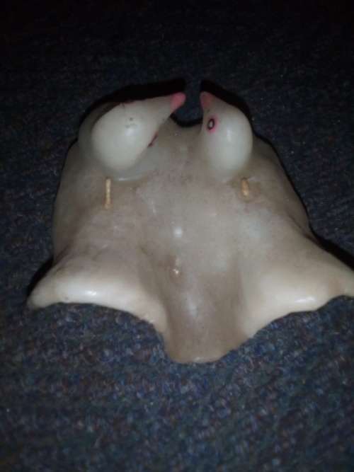 DOVES MADE FROM CANDLES