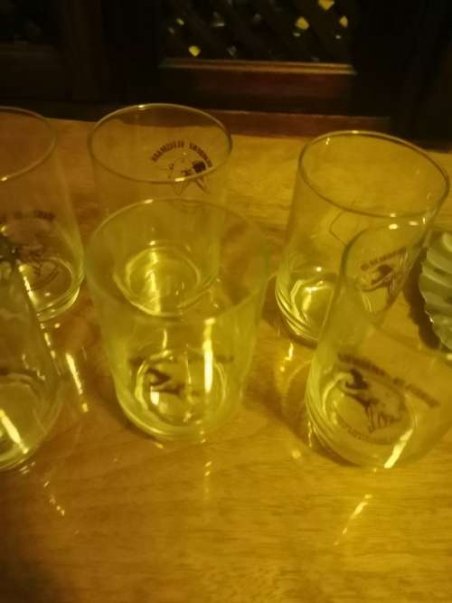 6 BLOEMDENE VLEISMARK GLASSES
