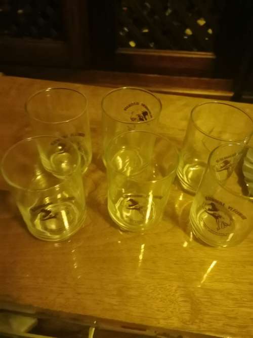 6 BLOEMDENE VLEISMARK GLASSES