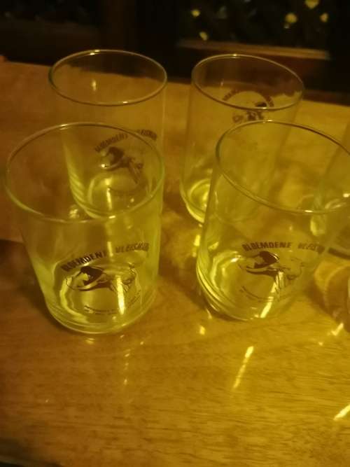 6 BLOEMDENE VLEISMARK GLASSES