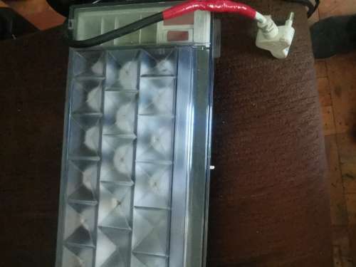 carmen hot curlers