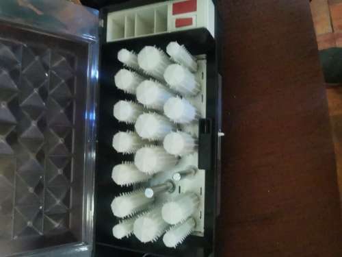 carmen hot curlers