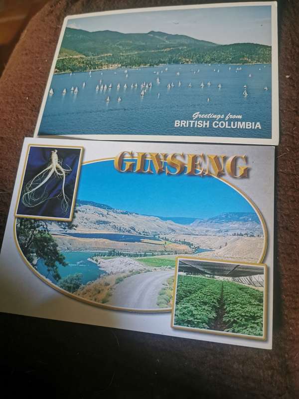 20 VINTAGE UNUSED POSTCARDS  LOT 1