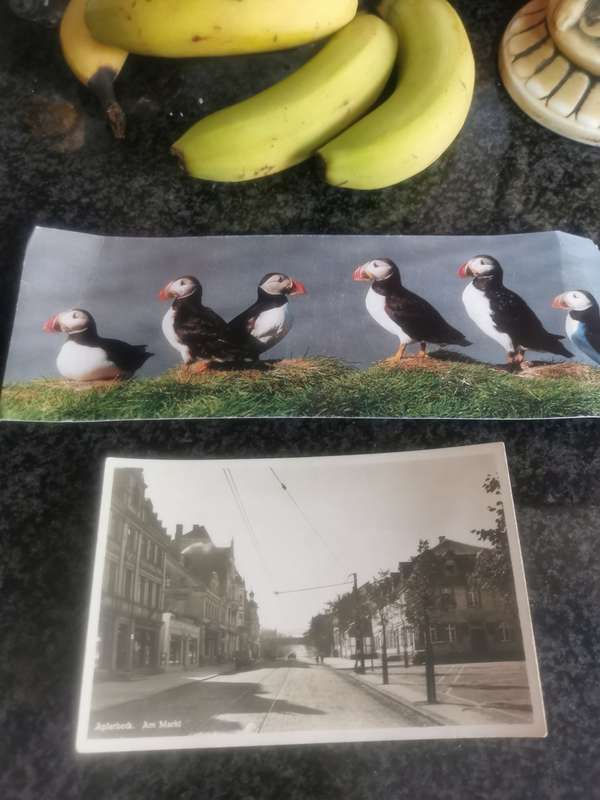 20 UNUSED VINTAGE POST CARDS LOT 3