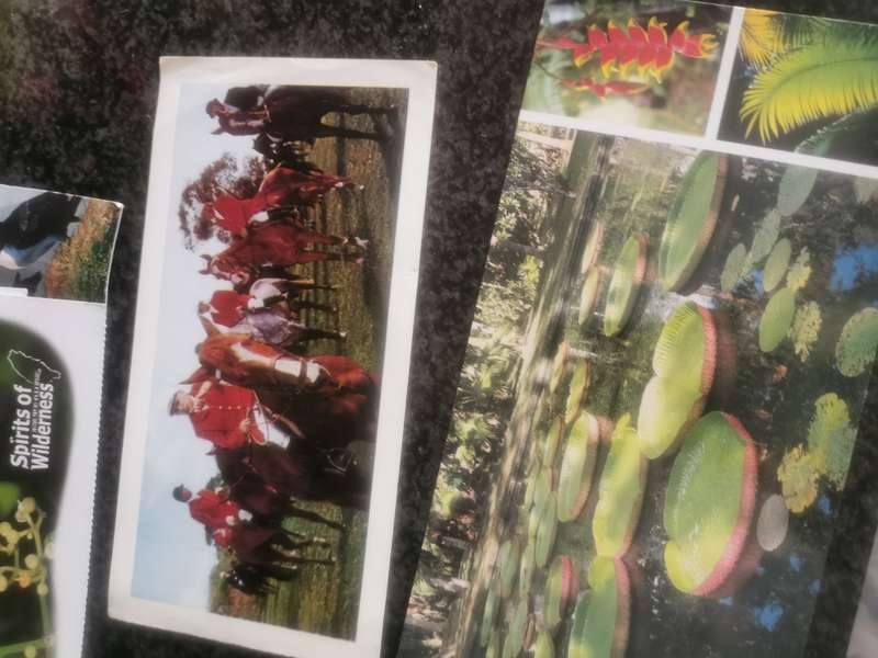 20 UNUSED VINTAGE POST CARDS LOT 3