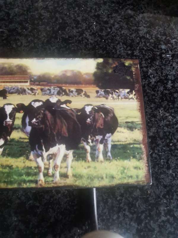 VINTAGE COW PRINT ON METAL TRAY