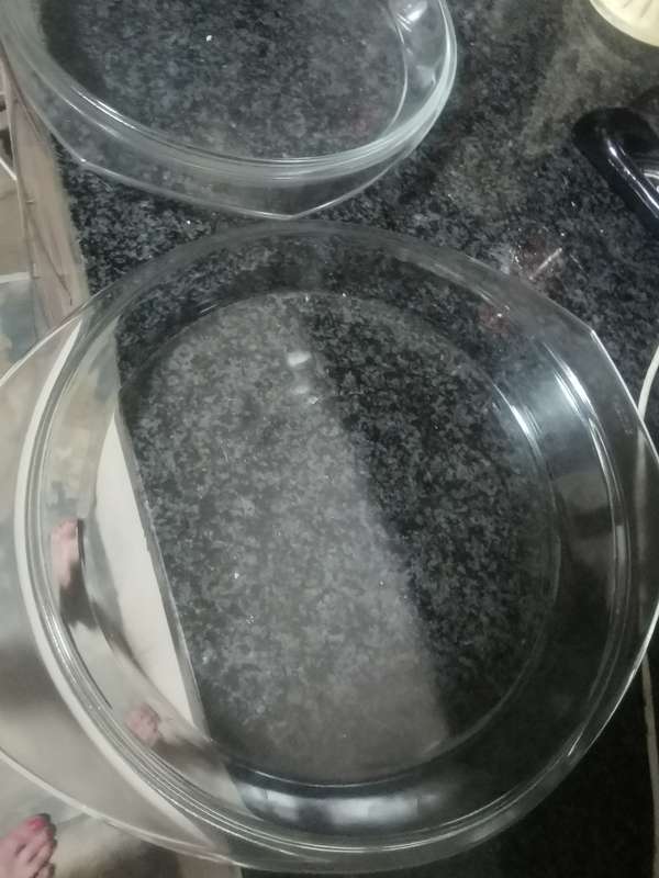 2 SIMAX TART BOWLS