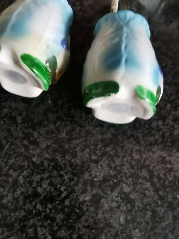 vintage duck set salt and pepper shakers