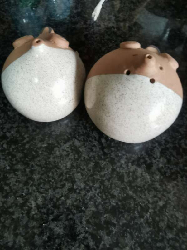 Vintage Egg Salt and pepper shakers