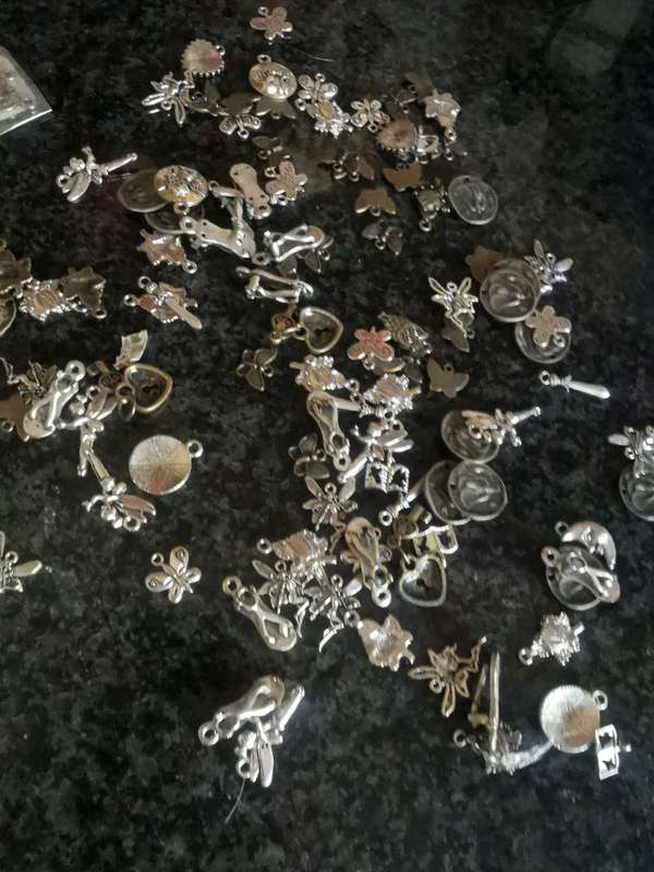 Job lot Charms