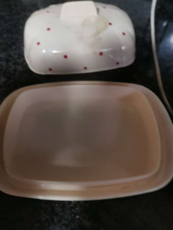 Vintage plastic butterdish