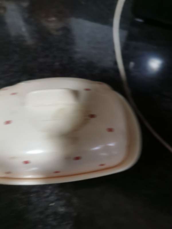 Vintage plastic butterdish