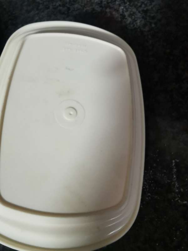 Vintage plastic butterdish