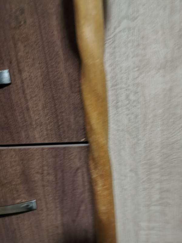 VINTAGE WALKING STICK 2