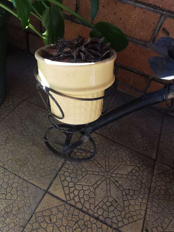SMALL IRON BICYCLE WITH PLANT HOLDERS