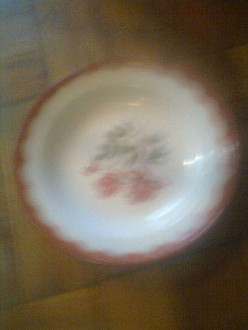 VINTAGE ENAMEL PLATE SPOTLESS