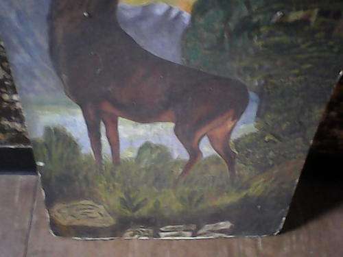 Print of antelope 1