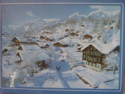 Puzzle : Jigsaw puzzle (520mm x 380mm) 500 pieces