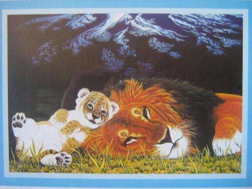 Puzzle : Jigsaw puzzle (520mm x 380mm) 500 pieces
