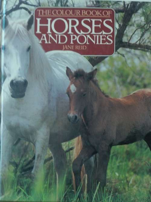 The Colour Book of Horses and Ponies