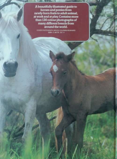 The Colour Book of Horses and Ponies