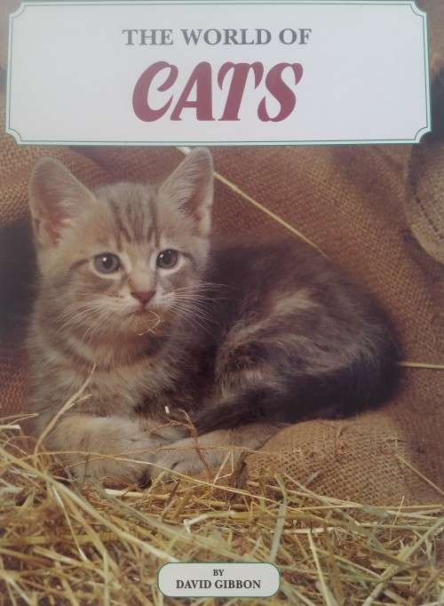 World of Cats