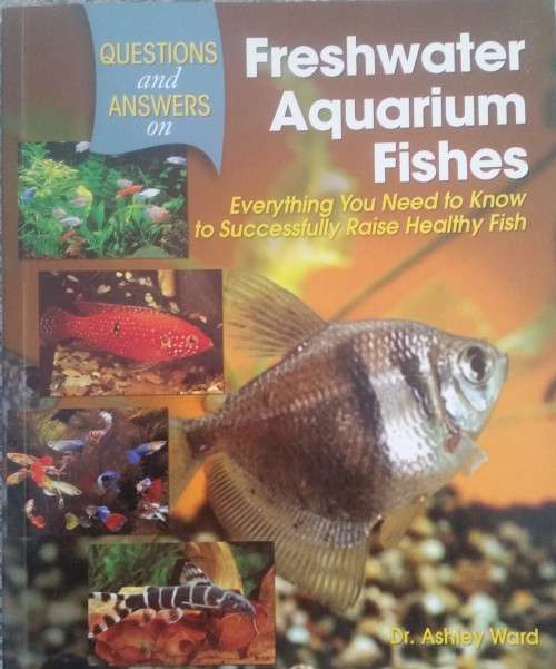 Freshwater Aquarium Fish