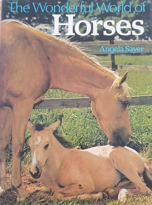 The Wonderful World of Horses