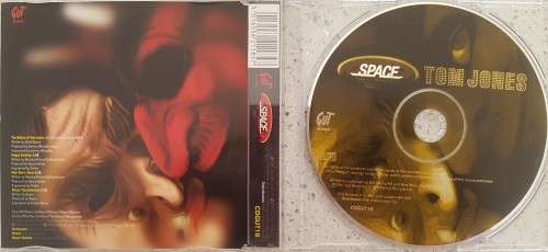 Space - The Ballad of Tom Jones