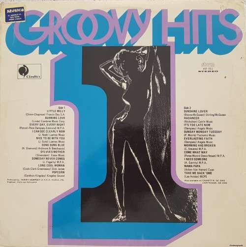 Vinyl Record: 20 Groovy Hits