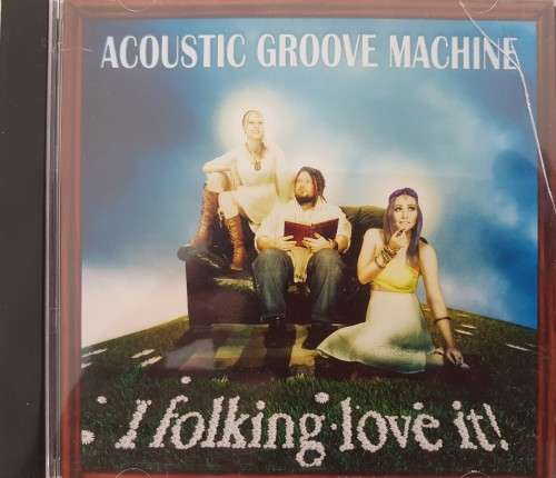 Acoustic Groove Machine - I Folking Love it!