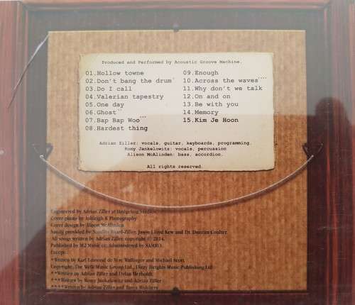 Acoustic Groove Machine - I Folking Love it!