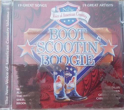 Voice of American Country - Volume 2