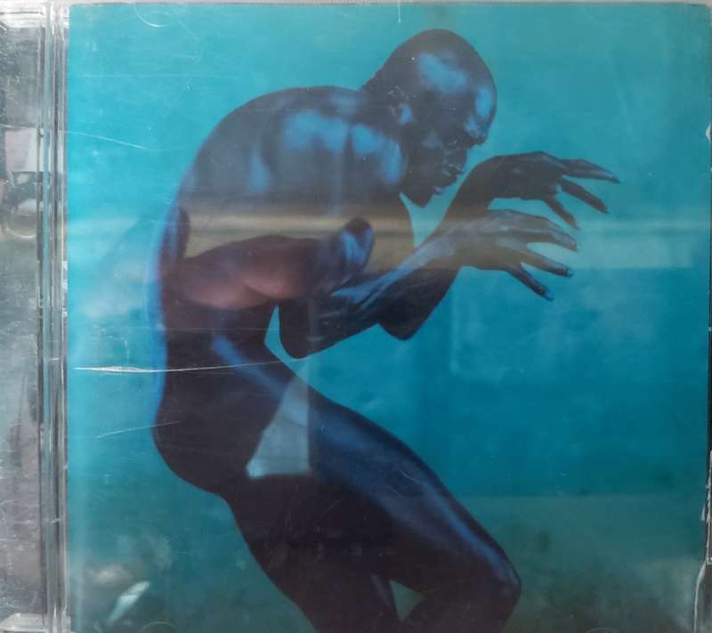 Seal - Humanbeing