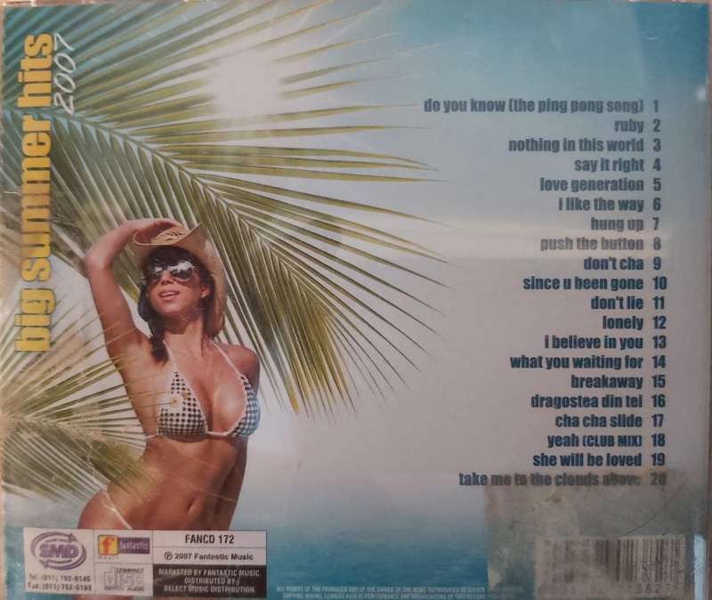 Big Summer Hits 2007