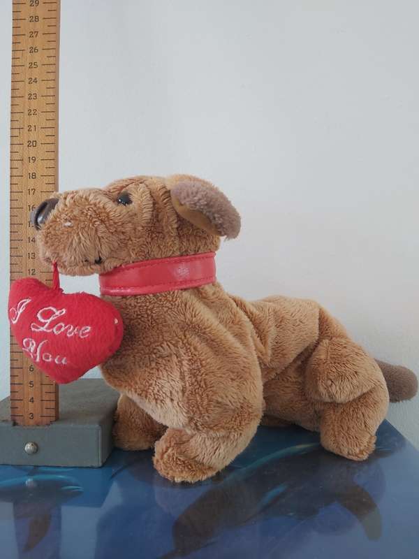 Plush Toy: Dog