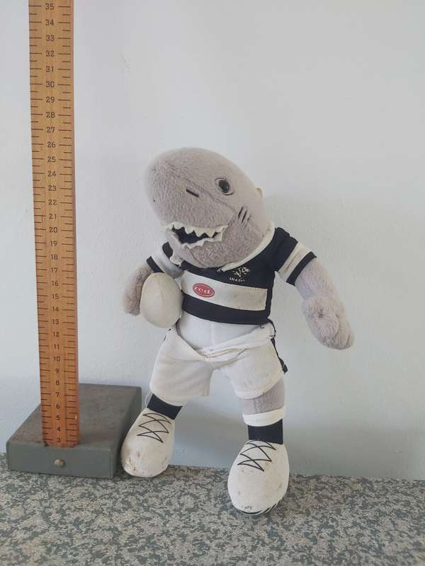 Plush Toy: Shark