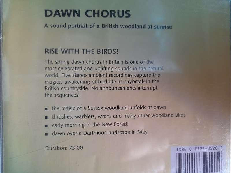 Dawn Chorus