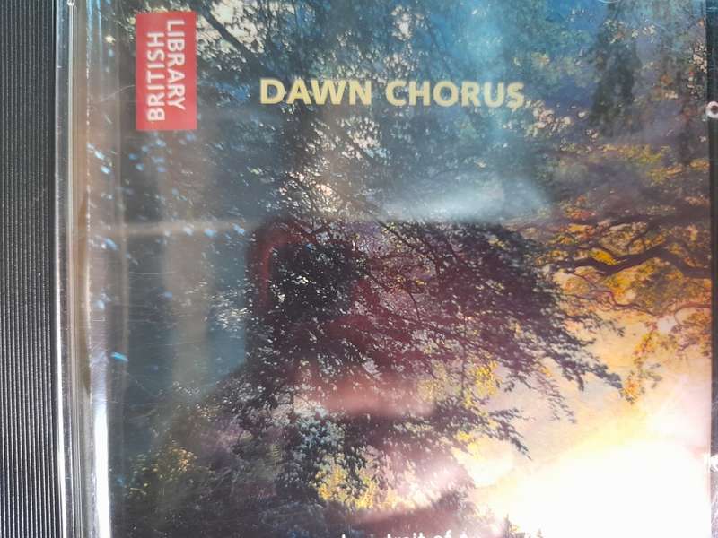 Dawn Chorus