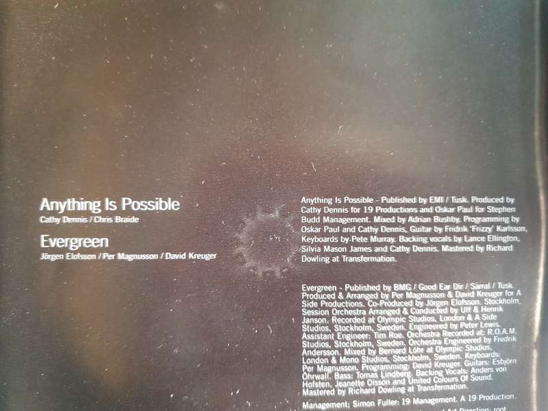 Will Young - Anything is Possible / Evergreen (Single)
