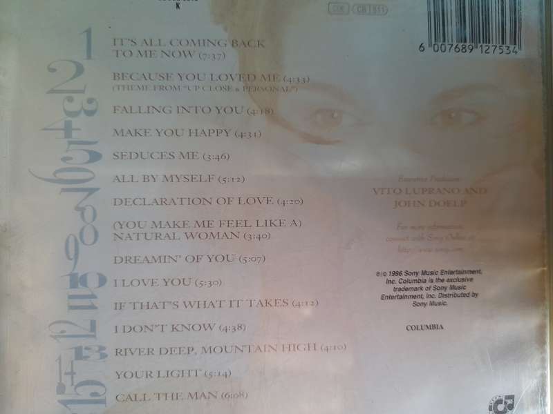 Celine Dion - Falling into you