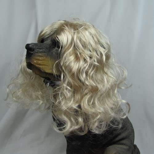 Dog or Cat Wavy Blonde Wig! The latest new animal craze to hit SA's shores