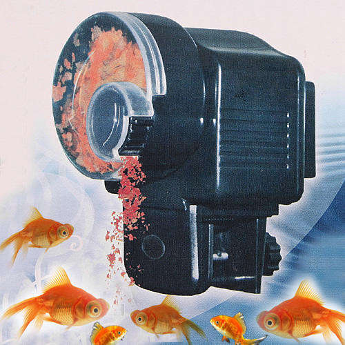 Automatic Fish Feeder! Never forget to feed your fish again!