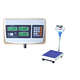 300kg Digital Platform Scale
