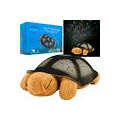 Turtle Night Light